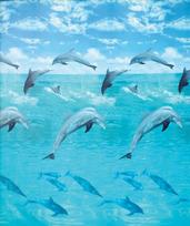 Vonios užuolaida DUSCHY Ocean 622-17, 180 x 200 cm, su kabliukais, kilmės šalis Estija