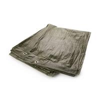 Universalus tentas FORTEX 350011, 3 x 5 m