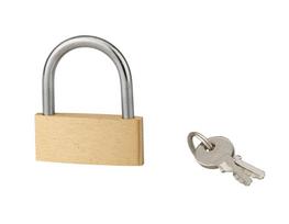 Pakabinama spyna SP Basic, 45 mm žalvariniu korpusu 2 raktai, 970045