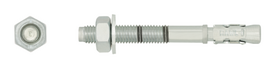 Inkarinis varžtas RAWLPLUG R-XPT, 8 x 50 mm, su žiedu