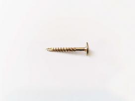 Konstrukciniai medsraigčiai ROBUS, 6 x 70 / 42 mm, praplatinta galva, cinkuoti, 10 vnt., TORX40