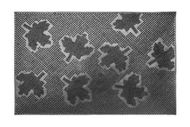 Kilimėlis RICCO Mix-Mat, 40 x 60 cm, 100% guma, pėdutės, 846-000