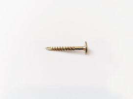 Konstrukciniai medsraigčiai ROBUS, 6 x 100 /64 mm, praplatinta galva, cinkuoti, 100 vnt., TORX30