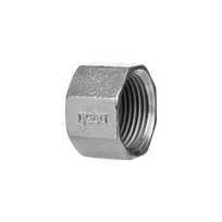 Aklė GEBO, 3/4", DN20, vidinis sriegis, cinkuotas ketus
