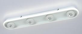 Lubinis LED šviestuvas BALTIK GAISMA K39237 Wt, 4000K, dimeriuojamas, su pultu, baltos sp., 800 x 13