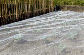 Tinklas nuo vabzdžių daržovėms NORTENE Biocontrol, austas PE, storis 37 g/m², akis 1 x 1 mm, atsparu