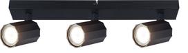 Kryptinis šviestuvas RABALUX Rogelio 73025, GU10 3X MAX 5W, skermuo 50 mm, IP20, 230V, 50Hz, matinės