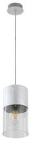 Pakabinamas šviestuvas RABALUX Zelkova, E27, 1 x 40W, 230V, IP20, metalinis, šlifuoto aliuminio sp.,