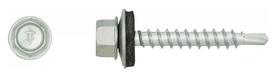 Cinkuotas savisriegis su tarpine RAWLPLUG, 4,8 x 55 mm, 100 vnt.