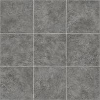 PVC grindų danga EVOLUTION Etna-5, 2 m pločio, 2,7 mm storio, dėvimasis sluoksnis 0,2 mm, Belgija, 2