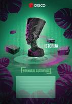 Formulių sąsiuvinis Disco, istorija, 50 lapų, lang.