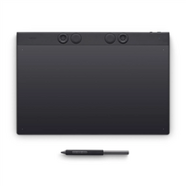 Wacom Intuos Pro (2025) Large, juoda - Grafinė planšetė