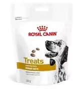 Royal Canin VD Urinary skanėstai šunims, 230 g