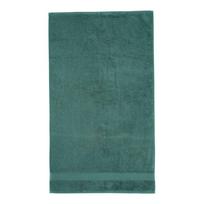 Tamsiai žalios spalvos iš frote audinio iš medvilnės rankšluostis 50x85 cm Anti-Bacterial – Catherine Lansfield