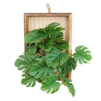 Sieninis rėminis dirbtinis augalas, dirbtinis žalumynas, augalas rėmelyje, sienų dekoras, pakabinamas netikras bonsai namams, sodui, kambariui, kiemui, vestuvių vakarėliui, vertikali dekoracija I