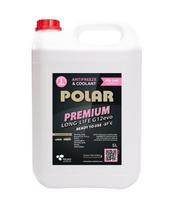 SKYSTIS AUŠINIMO POLAR G12EVO 5 L