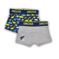 Berniukiški bokseriukai Dinozaurai, 2 vnt.