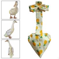 Anties Kelnės Reikmenys Drabužiai Dėvimi Sauskelnės 42cm