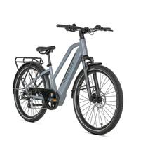 Elektrinis dviratis suaugusiems JOBOBIKE Astra 250W 36V15AH baterija pilka