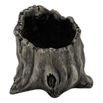 Sukulentų sodintuvas Driftwood sodintuvas Sukulentų vazonai Mažų augalų Gėlių Kaktusų vazonai Medžio kelmo Medinis sodintuvas Dekoracijos 3