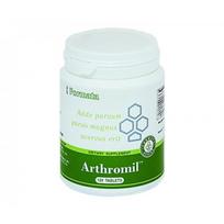 Santegra Arthromil™ tabletės N120