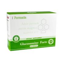 Santegra Glucosamine Forte kapsulės N60