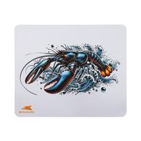 Baracuda Lobster 300x250