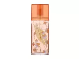 Kvepalai moterims Elizabeth Arden Green Tea Nectarine Blossom EDT, 100 ml