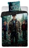 Patalynės komplektas Harry Potter, 135x200 cm, 2 dalių