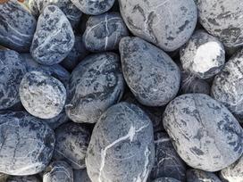 Black Nyx gludinti sveriami, 500kg
