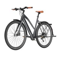 Elektrinis dviratis Fafrees F700W 26 ", juodos spalvos