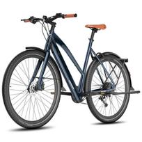 Elektrinis dviratis Fafrees F700W 26", mėlynas
