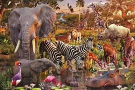 Ravensburger Afrikos gyvūnai 3000 dalių dėlionė