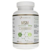 Progress Labs MSM (organinė siera) 500 mg - 250 tablečių