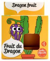 Auginimo rinkinys vaikams RADIS et CAPUCINE Drakono vaisius