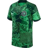 Nike Nigerija 2022/23 Stadium namų marškinėliai Žalias kibirkštis/Pušies žalias/Juodas/Baltas Vyrams Gatvės drabužiai DN0696-329 XL