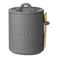 Iš keramikos maisto laikymo indas druskai Essentials – Ladelle