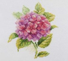 Siuvinėjimo rinkinys Hortenzija – Aida 14, 17 spalvų, 12x12 cm