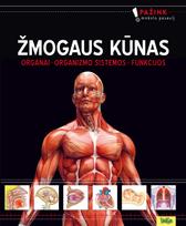 Žmogaus kūnas (Organai. Organizmo sistemos. Funkcijos)