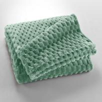 Šviesiai žalios spalvos iš mikroflanelės antklodė ir pledas 125x150 cm Mini Frosty – douceur d'intérieur