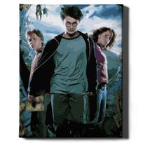 Tapyba pagal skaičius Harry Potter Oh Art!, 40x50 cm