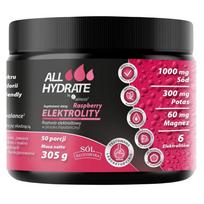 Aliness ALLHydrate Electrolytes, Aviečių - 305 g