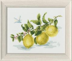Siuvinėjimo rinkinys „Citrinų šakelė“, Aida 18 ct, 18x24 cm, su Madeira siūlais