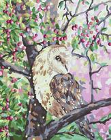 Tapyba pagal numerius Pelėda 40x50 cm – rinkinys suaugusiems