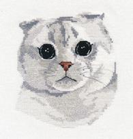 Siuvinėjimo rinkinys kryželiu „Scottish Fold“ katė, 13×14 cm, Zweigart
