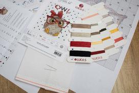 Kryželiu siuvinėjimo rinkinys – žavinga pelėda su akiniais