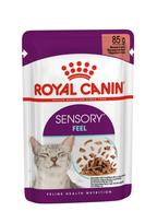 Royal Canin Sensory Feel Gravy konservai katėms, 12×85 g