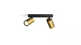 Taškinis LED šviestuvas PHILIPS IDRIS, IP44, 2xGU10, max 2x5W, žalvario sp., 8,3x24x12cm