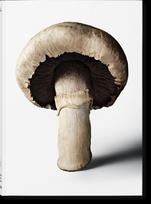 The Gourmand's Mushroom: A Collection of Stories and Recipes
