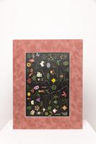 Botaninis printas „Gamtos atlasas“